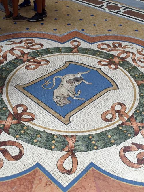 13920627_10209667912485238_7368712377642087010_n