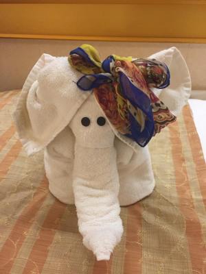 14199336_10209845517725258_7271592606198742718_n